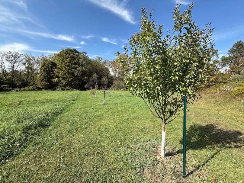 Cayuga_55.02_Herman Photo 25