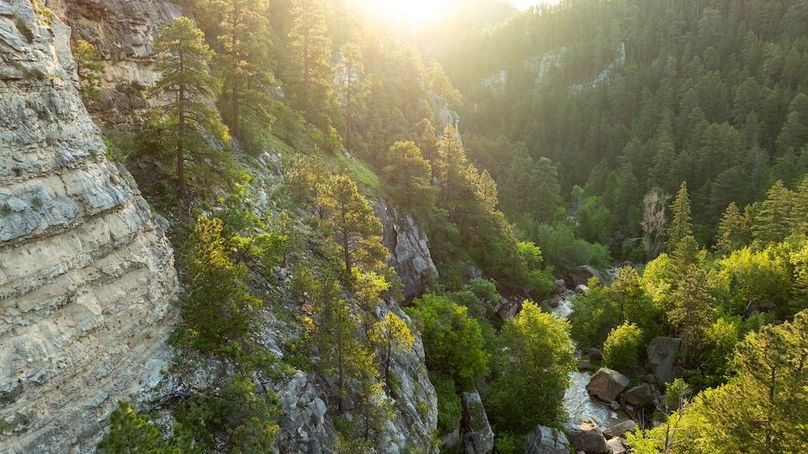 Lawrence SD 50 Featured_ProPhoto-72