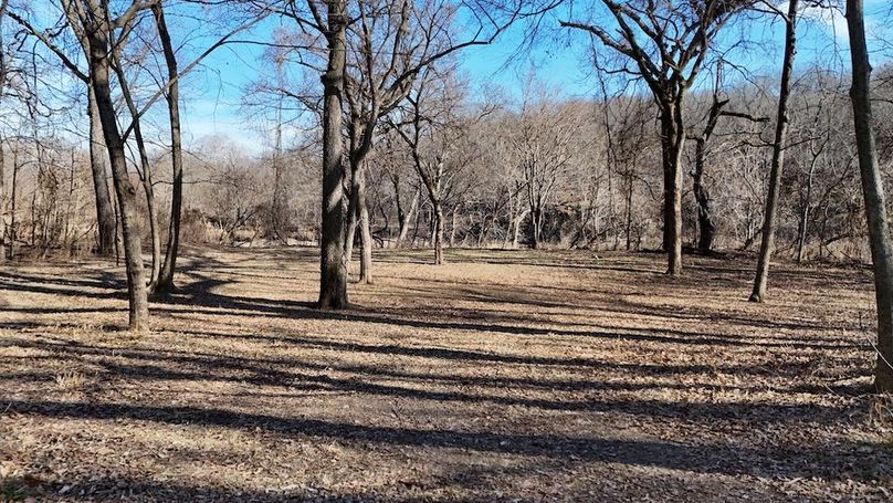 DJI_20260212163742_0066_D