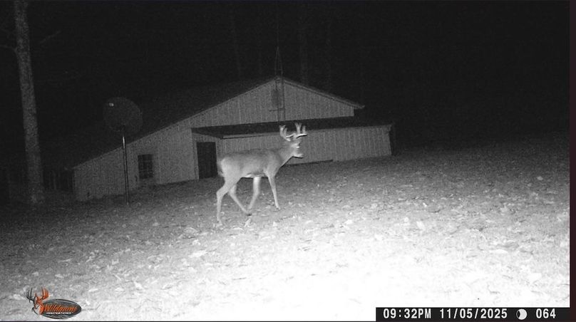 Screenshot 2025-11-13 154735