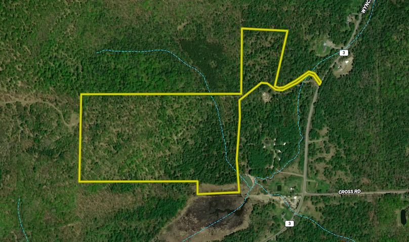 Chemung_60.55_Baumunk Land ID Map 4
