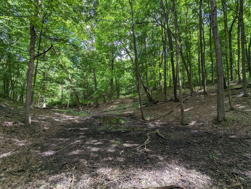 PXL_20240607_185608536