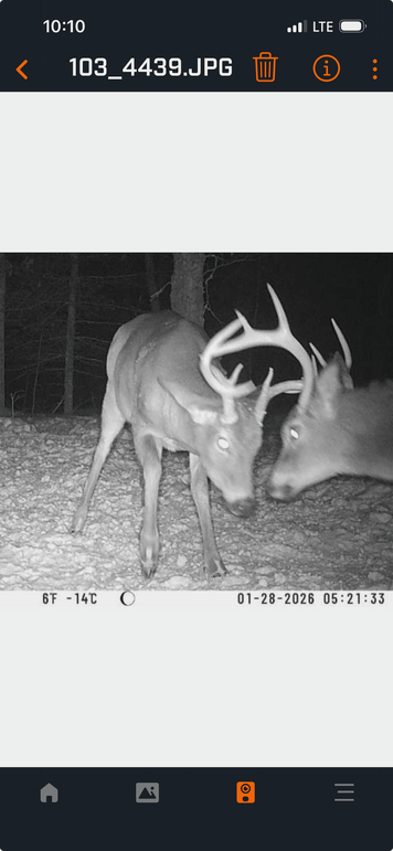 Screenshot 2026-04-02 at 10.10.57 AM