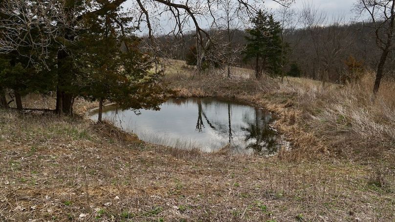 E773A93F-3EED-4CBA-B3CE-F6B365D3B75B_1_201_a