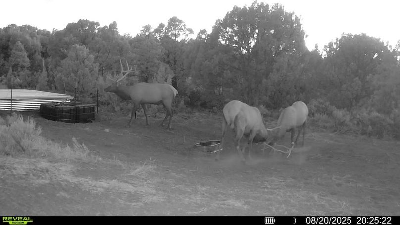 016578004060205-100-2-08202025202522-V-SYFW00017