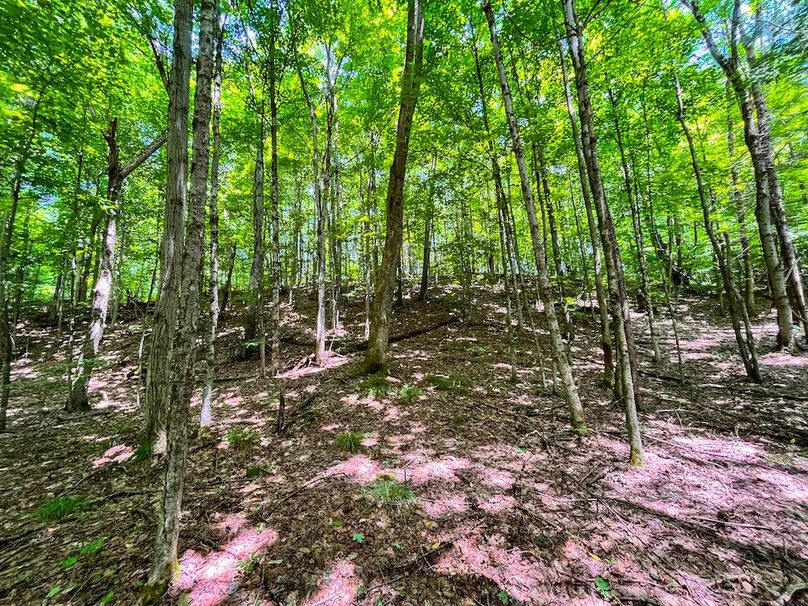 Oswego_20_Eck Photo 48