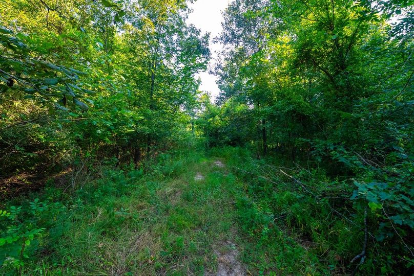 Copy of DSC06268 Large