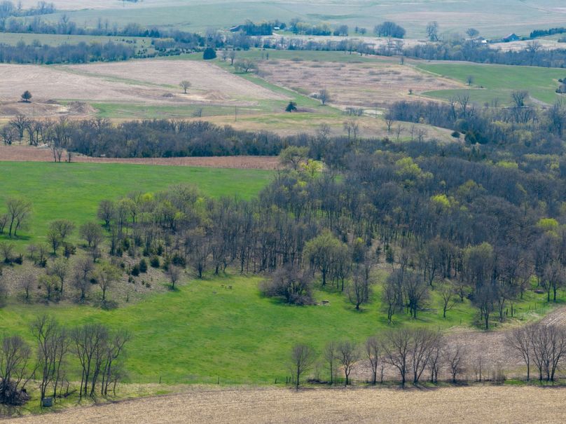 20230418-DJI_0058