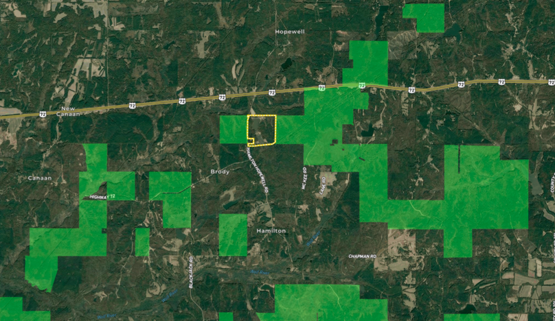 abington 161 new wide view with natl forest