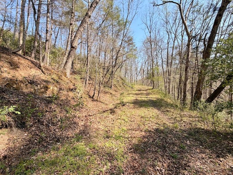 Scott Co TN 286 Keeton_068