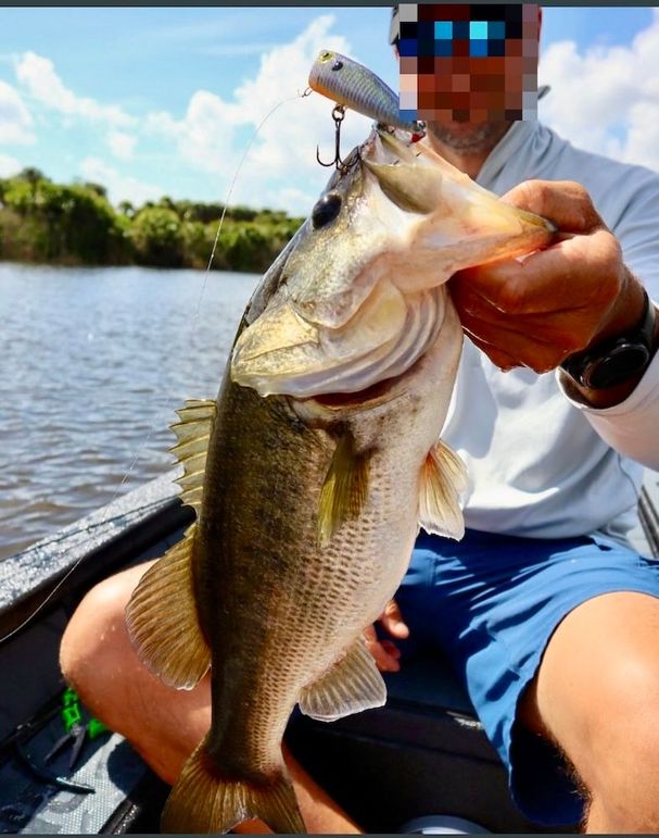 8018C2EC-681F-4E9E-BEC7-0F759AA50D7B_1_201_a