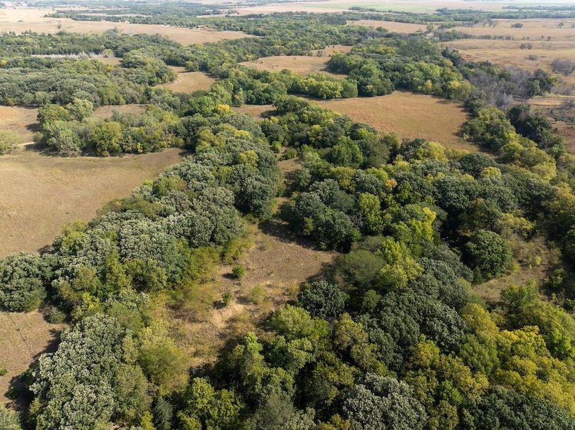 20240913-DJI_20240913110223_0139_D