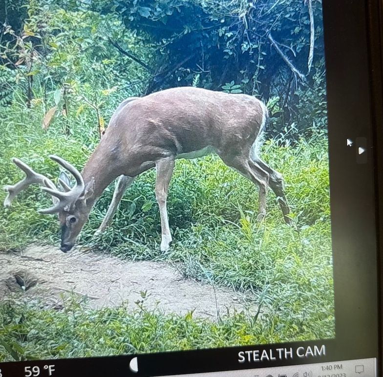 01 Heavy 8 point copy