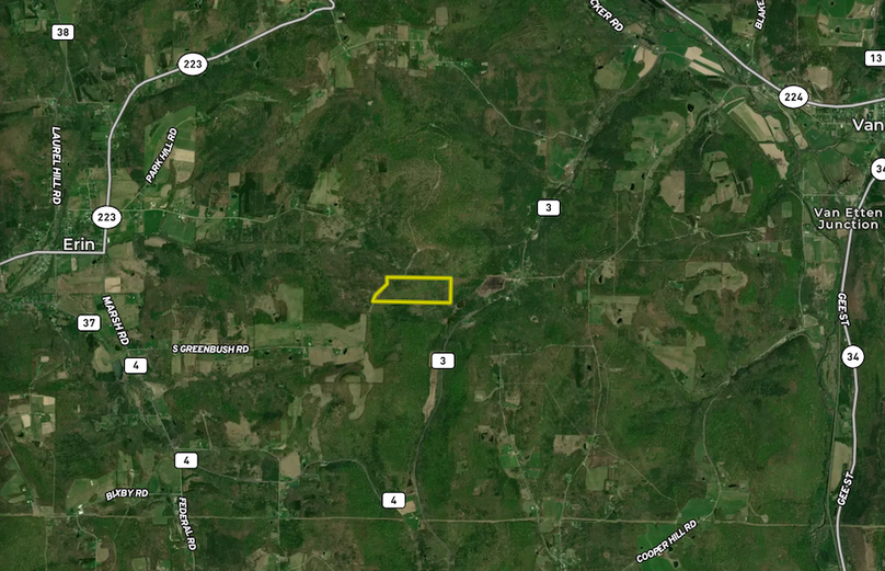 Chemung_59.085_Gutchess_Lumber_Landid_7