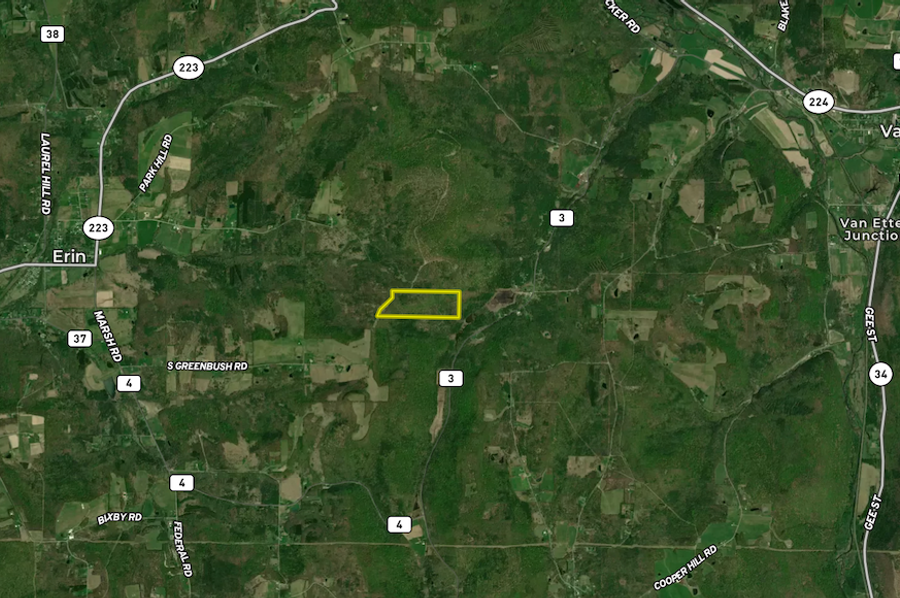 Chemung_59.085_Gutchess_Lumber_Landid_7