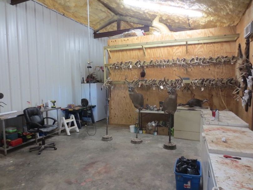 B3320E2E-722D-434A-ABD2-558CDEF66147_1_105_c