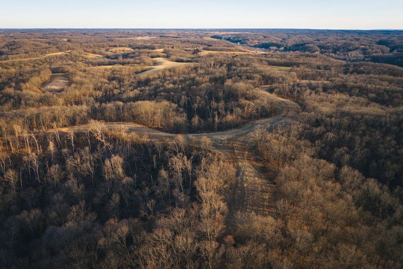 DJI_20260218164920_0654_D