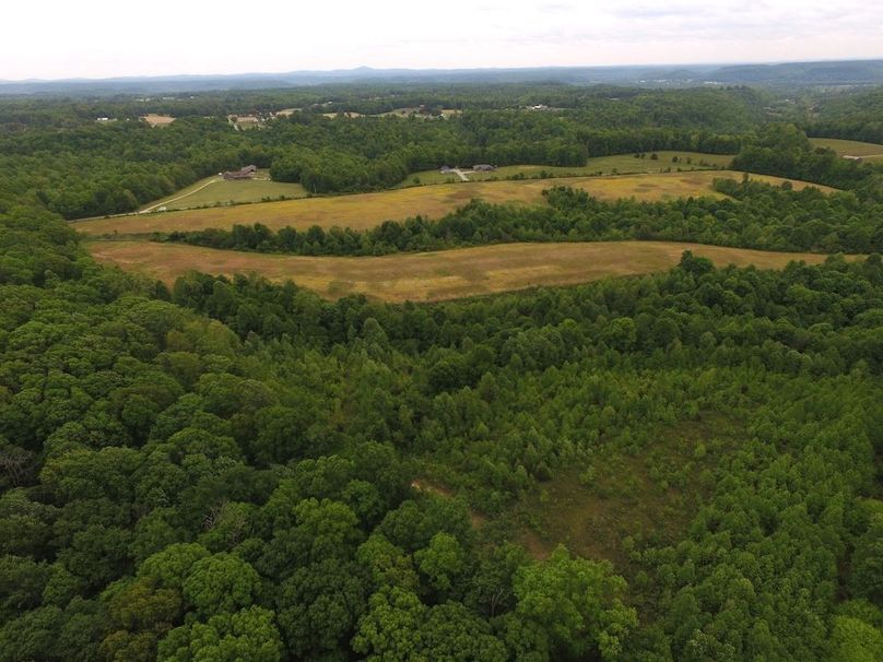 DJI_0022
