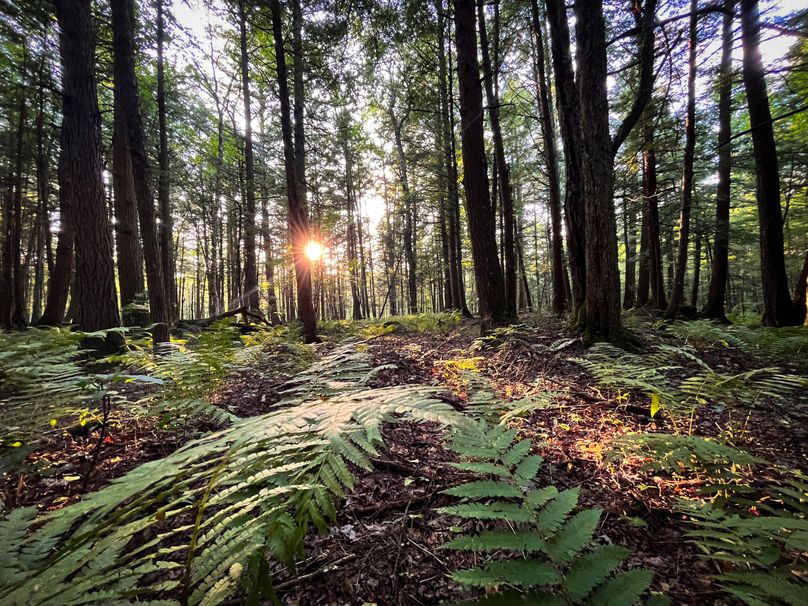 Oswego_30_RouselandInvestments_LLC_Photos_34