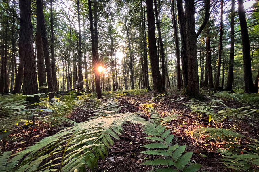 Oswego_30_RouselandInvestments_LLC_Photos_34