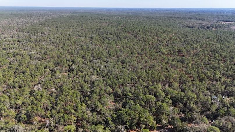 dji_fly_20251204_132456_0026_1764872862351_photo