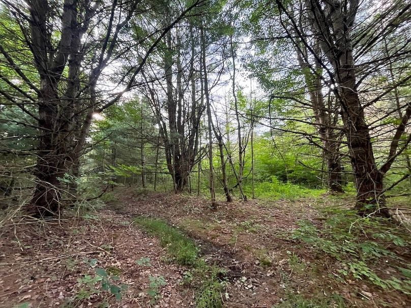 Chemung_78.26+Gutchess_Lumber_Photos_29