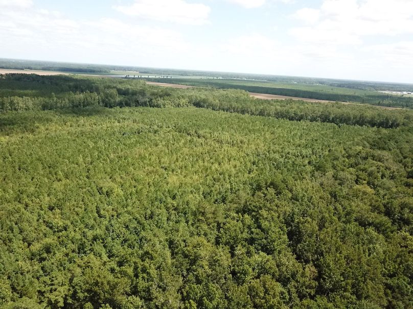 DJI_0053