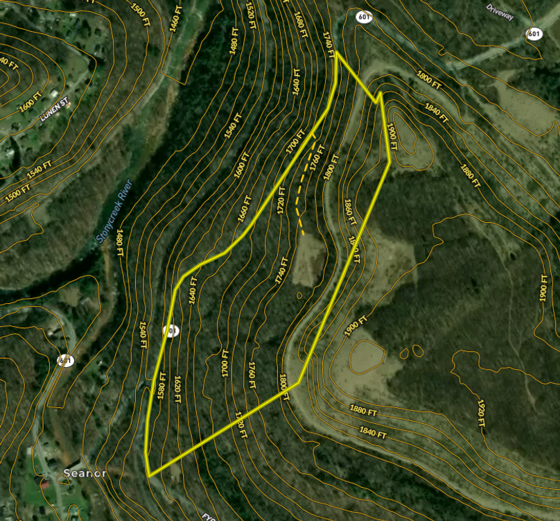 Screenshot 2026-03-11 at 12.17.51 PM