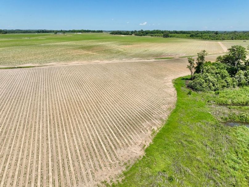 dji_fly_20250521_144524_877_1747853598359_photo