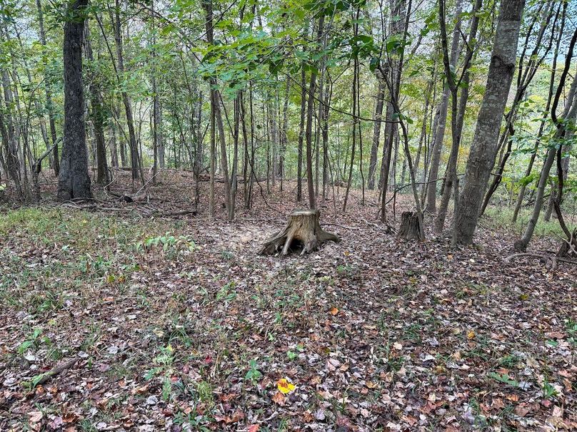 Greenup 77.28 Holsinger-36