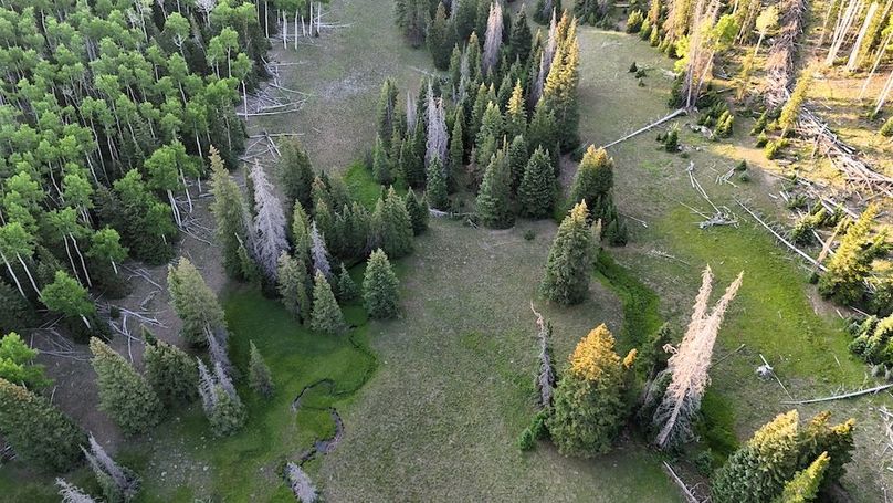 DJI_20250628065334_0181_D