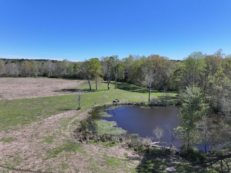 dji_fly_20260317_093908_0409_1773768873821_photo