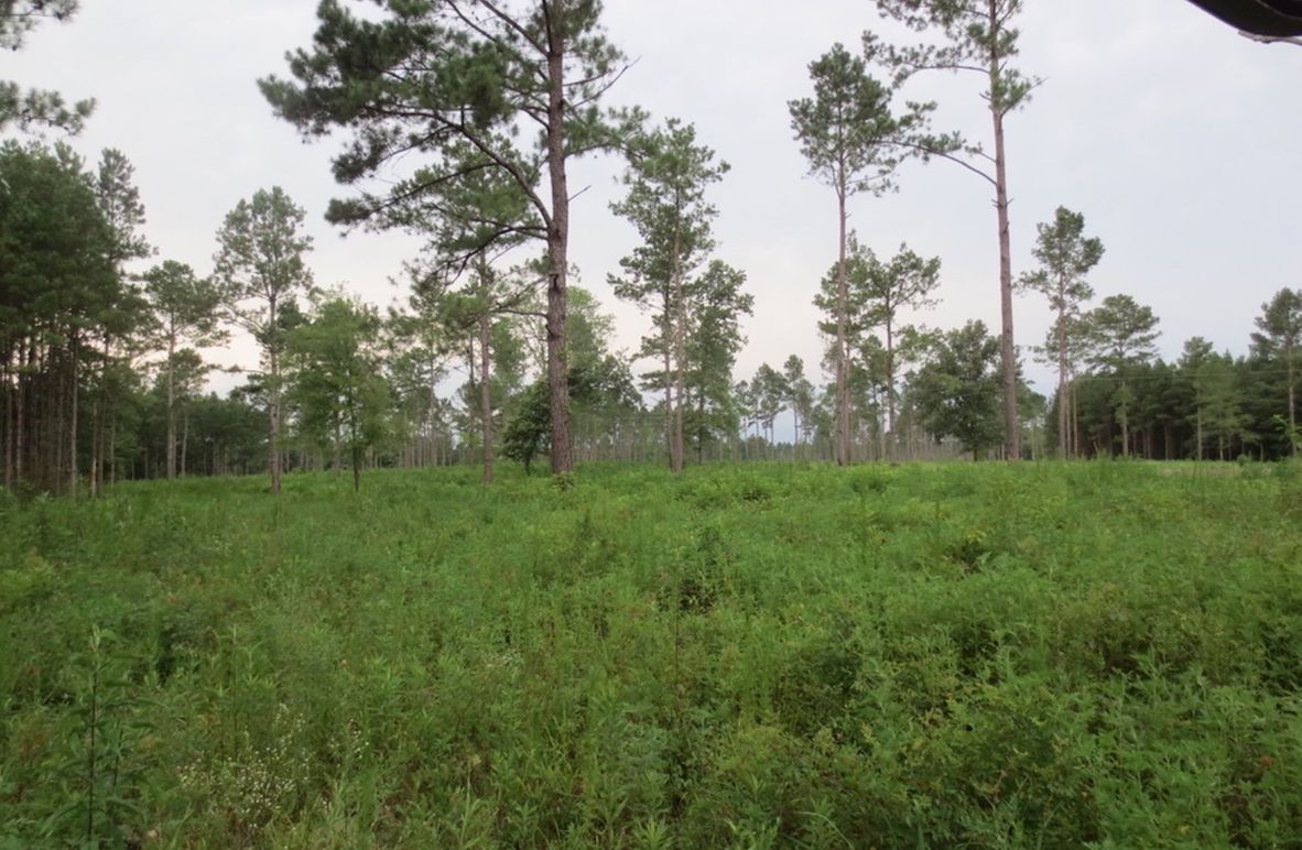 7F8F3D81-E804-49D0-B143-E36A78125B05_1_105_c