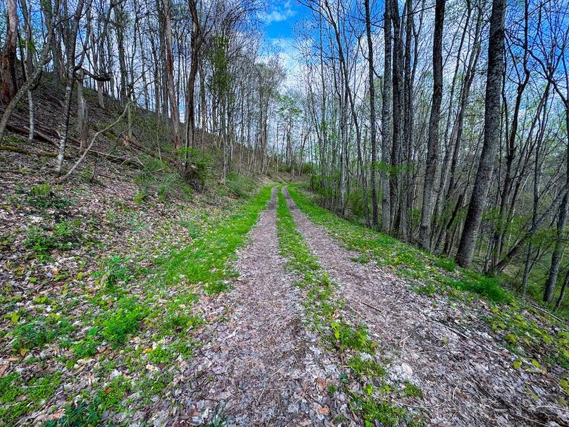 Calhoun, WV 132.84 AC Szegi 2-119