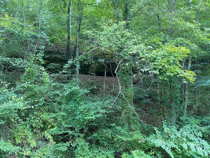 011 small rock cliff area in the east section of the property