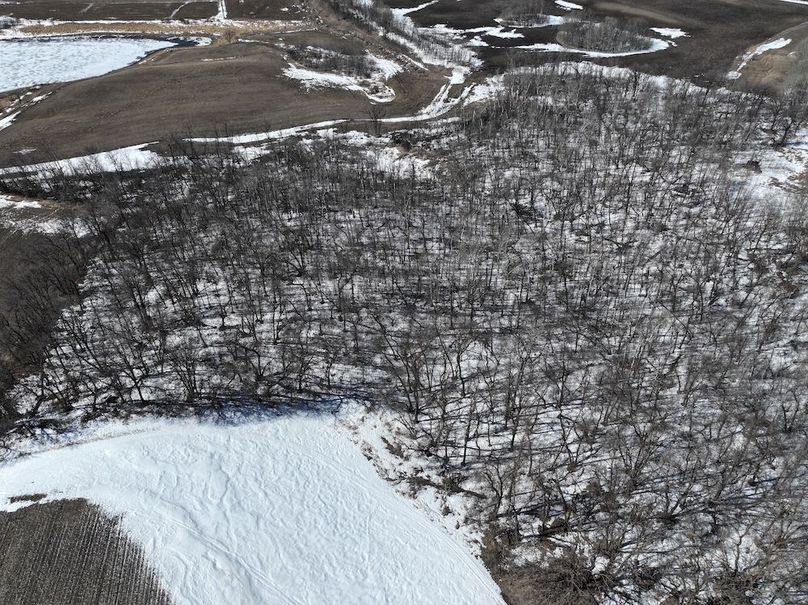 DJI_20260219175009_0124_D