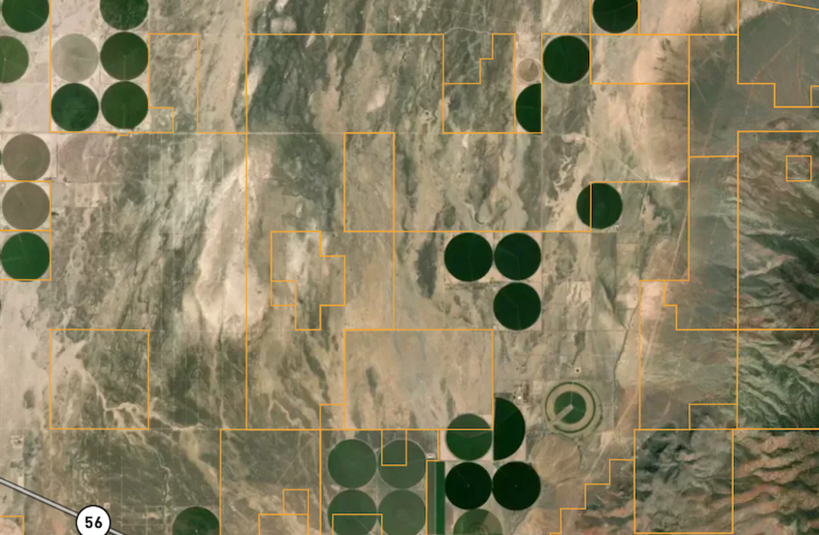 Screenshot 2025-08-26 at 12.25.15 PM