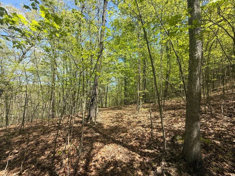 035 nice north facing slope in the south area of the property