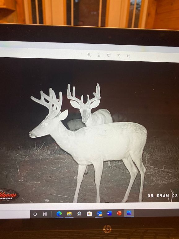 61888849998__884516C1-69EE-4B0D-95DF-4C7DDD1387C4