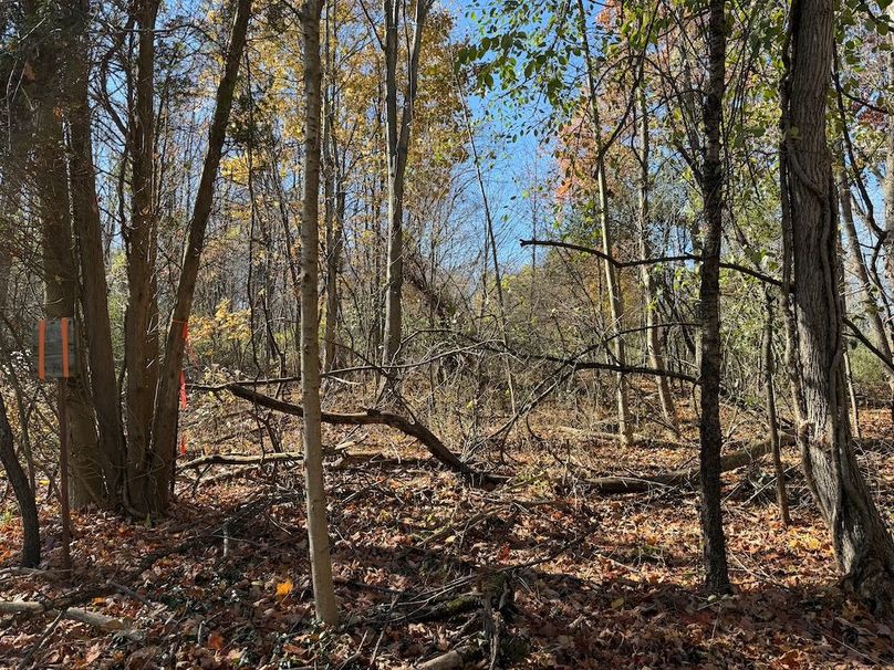 Wayne_18.11_Koehler Photo 21