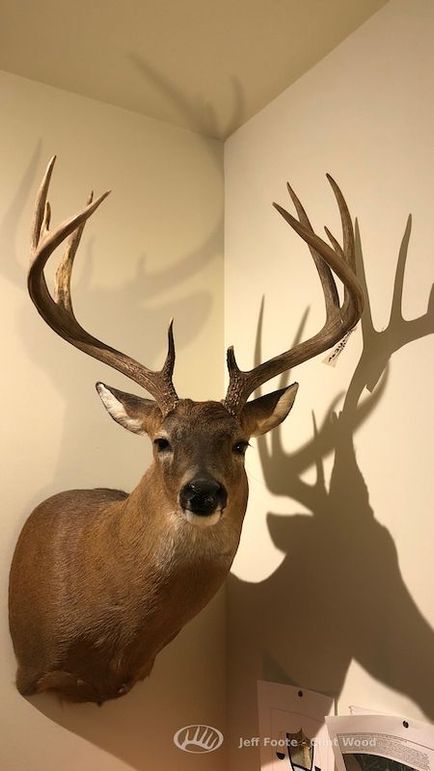 Washington Co - 980 - Patrick-23
