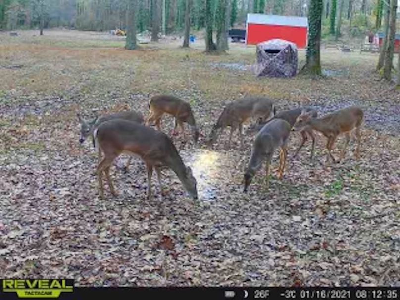 c139cc68-55b0-48f1-8cf8-573911f935ae copy