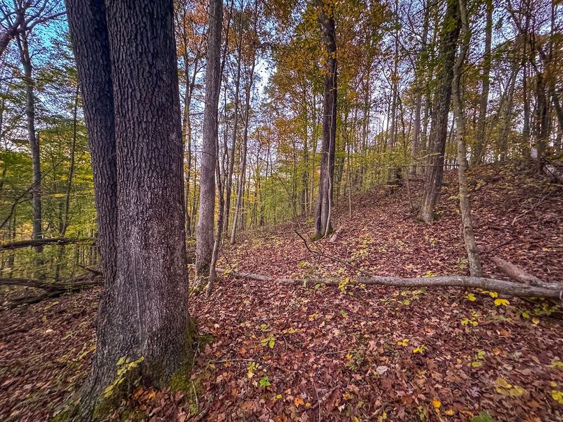 Wirt, WV 43 AC Berry-19