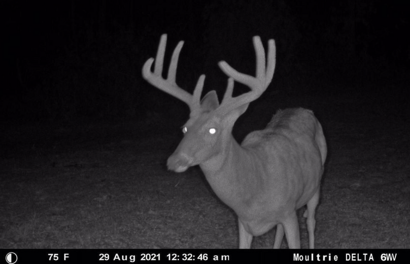 Screenshot 2023-07-27 at 9.57.26 PM