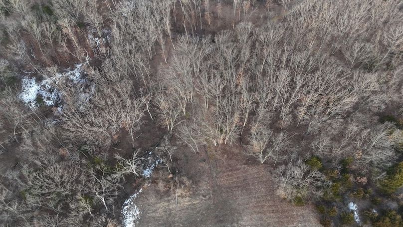 dji_fly_20260208_082702_0038_1770562363200_photo