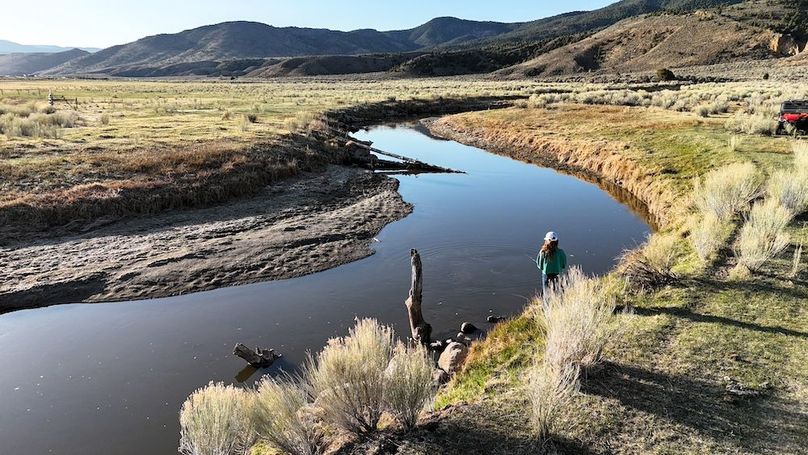 Lucky River Bottom Ranch40
