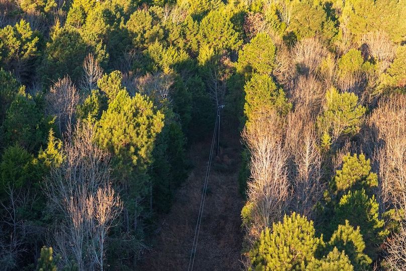 DJI_20260116075732_0031_D