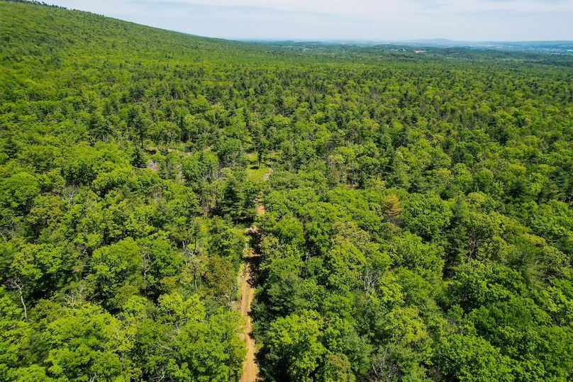 dji_fly_20250512_130058_976_1747069857474_photo