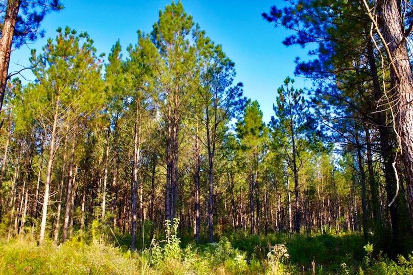 607107C9-85F9-41F4-990A-E1B12B227DF7_1_105_c