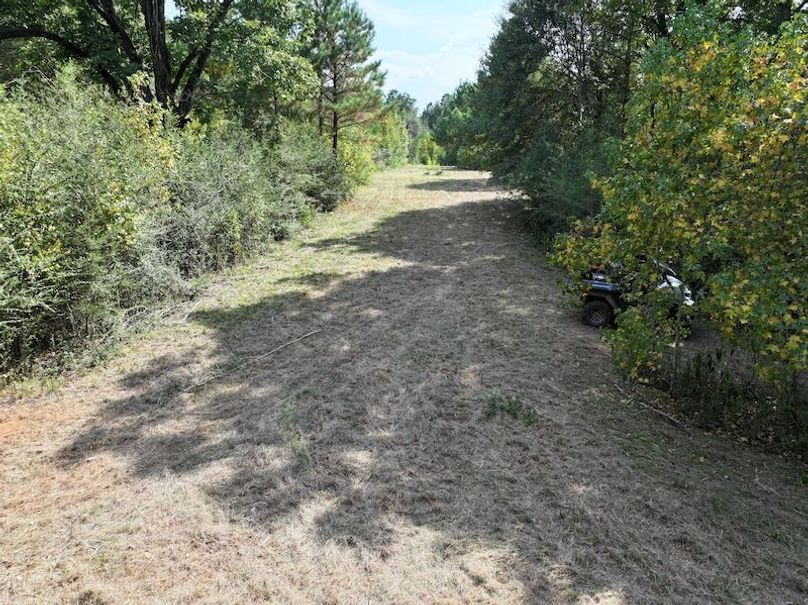 dji_fly_20250915_151052_0465_1758029014297_photo